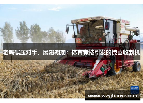 老鹰碾压对手，展翅翱翔：体育竞技引发的惊喜收割机