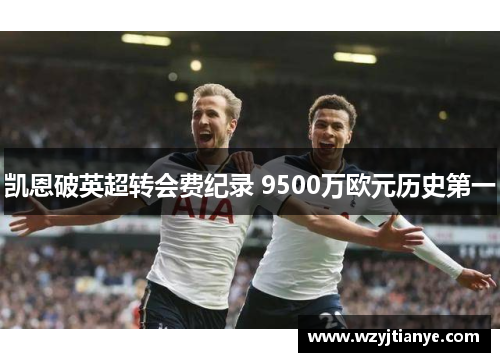 凯恩破英超转会费纪录 9500万欧元历史第一